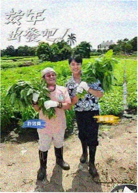 芈月传文化